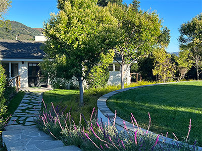 skydance carmel valley